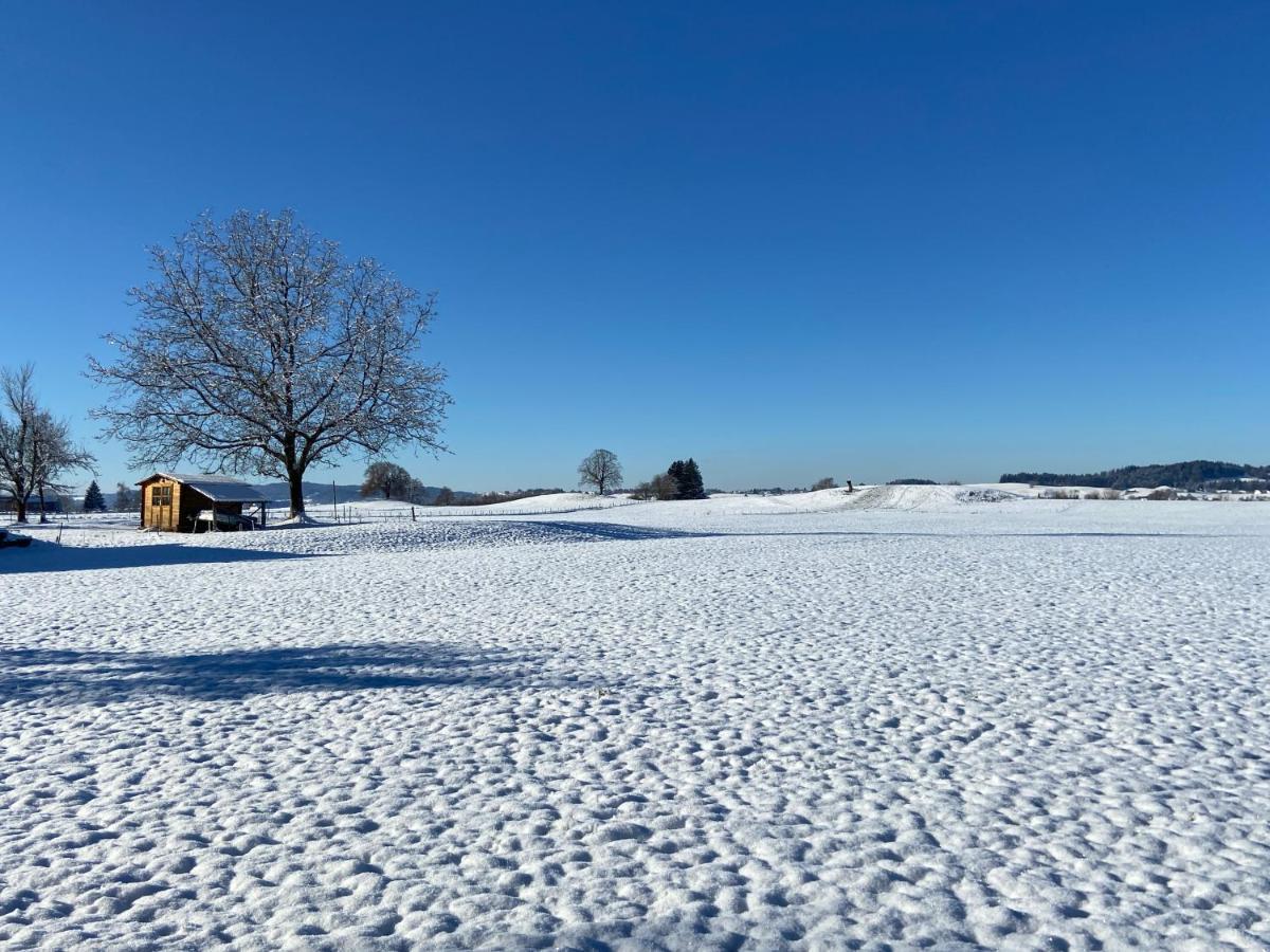 Das Blaue Haus - Ein Sommertraum Und Ein Wintermaerchen Weiler-Simmerberg Kültér fotó