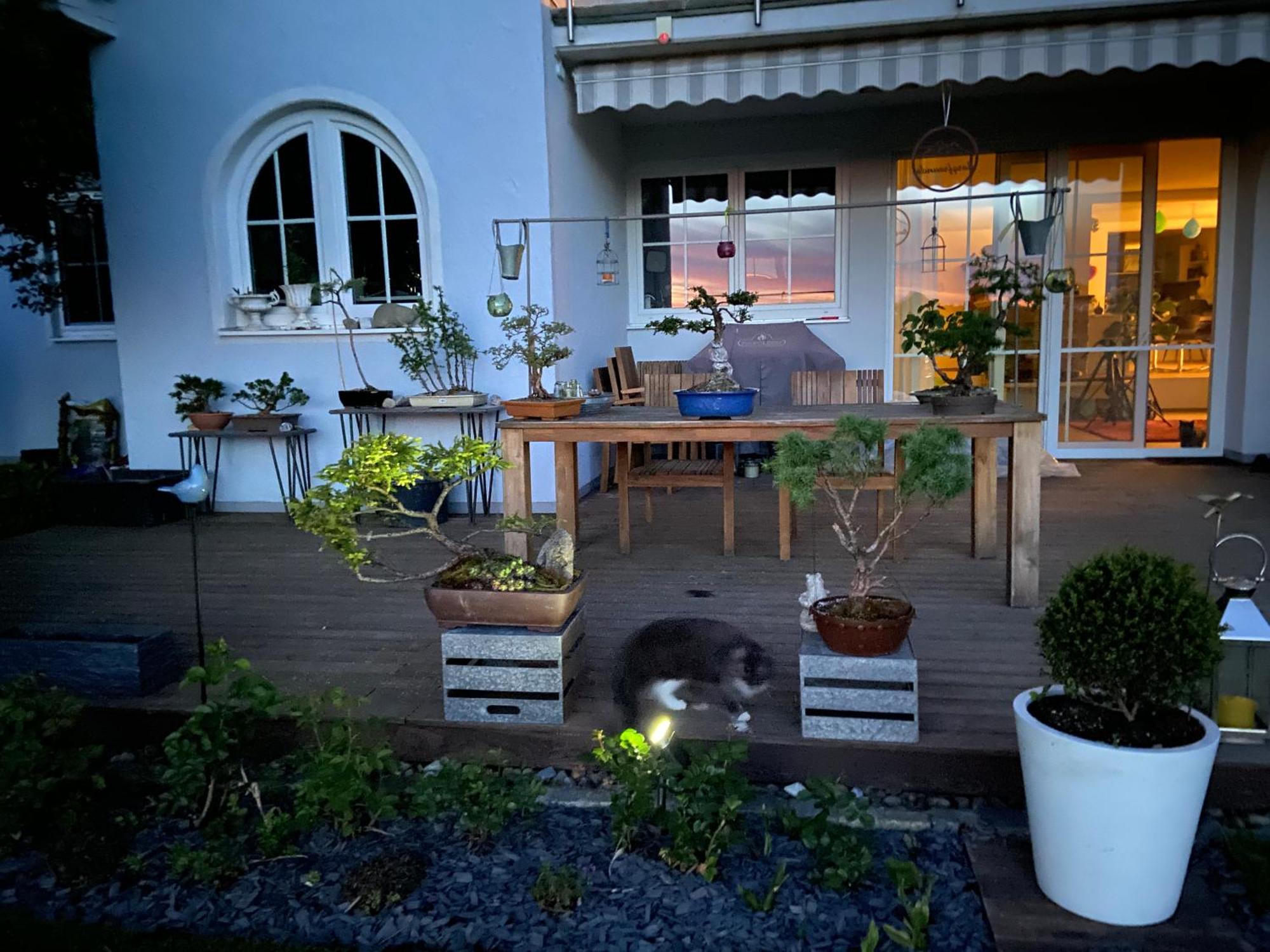 Das Blaue Haus - Ein Sommertraum Und Ein Wintermaerchen Weiler-Simmerberg Kültér fotó