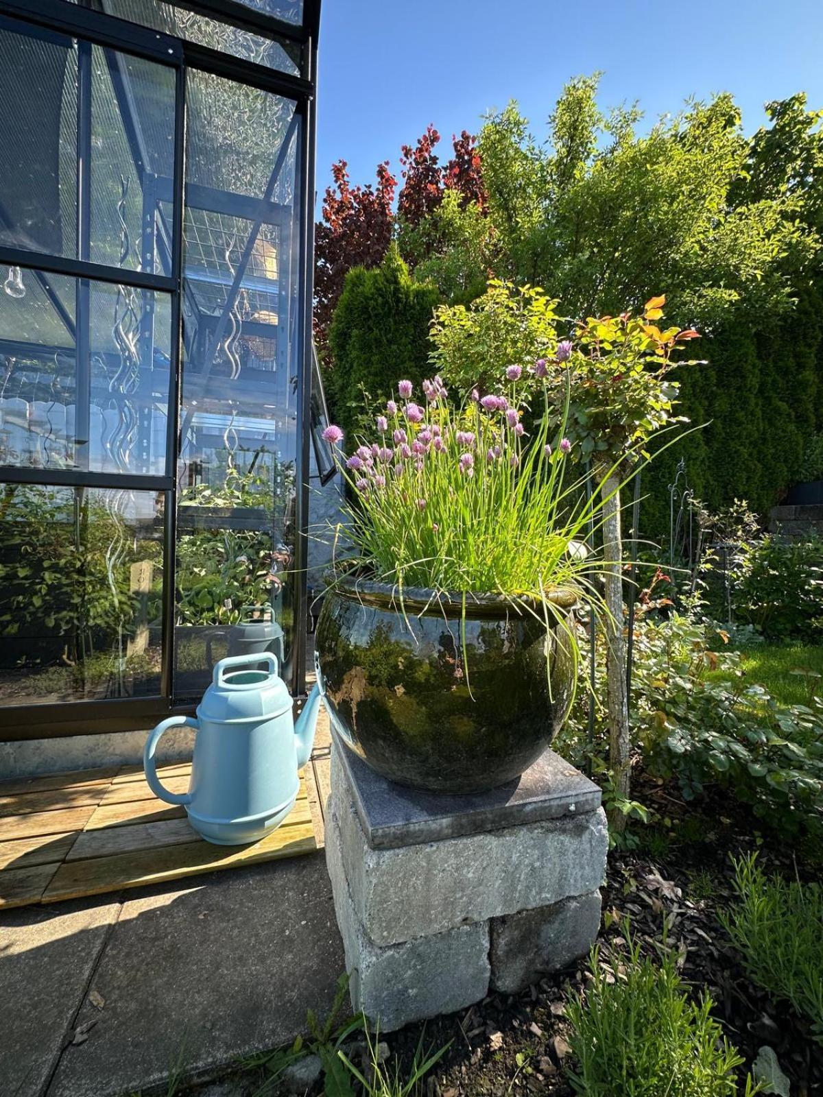 Das Blaue Haus - Ein Sommertraum Und Ein Wintermaerchen Weiler-Simmerberg Kültér fotó